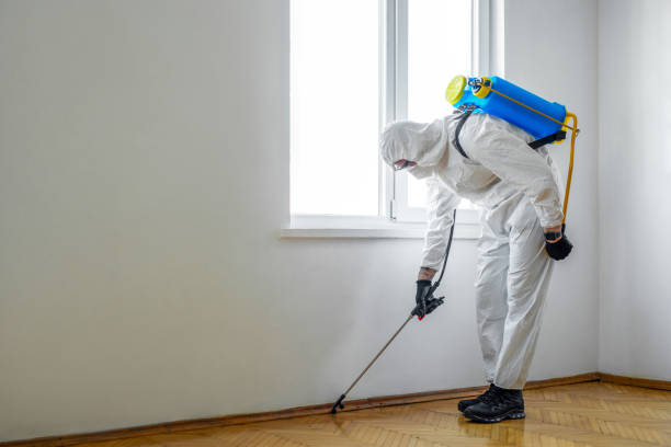 Real Estate Pest Inspections in Pennsboro, WV